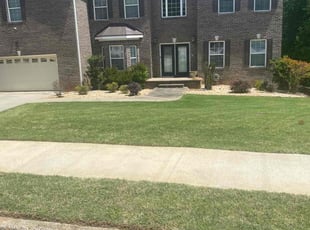 Ahmad W.'s lawn care service result