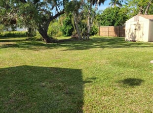 Alex K.'s turf care service result