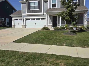 Vanessa P.'s lawn maintenance service result