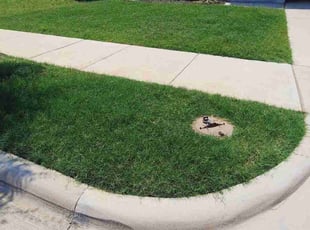 Ke C.'s lawn care service result
