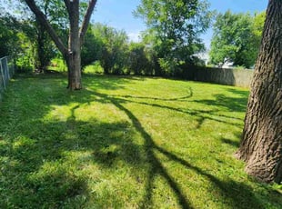 Sharon H.'s lawn care service result