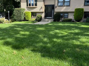 Bonnie B.'s lawn care services service result