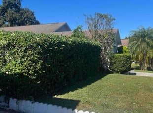 Jess L.'s Bush Trimming service result