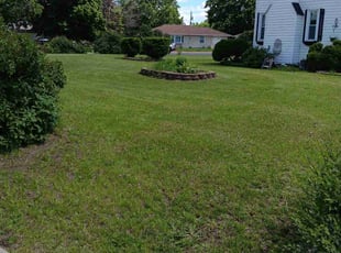 Amanda M.'s lawn maintenance service result
