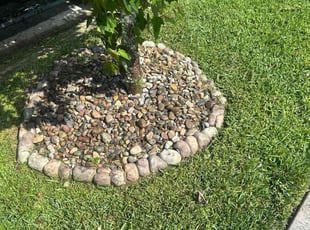 Carmen P.'s Flower Bed Weeding service result