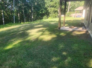 Jeffrey H.'s lawn service service result