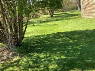 James Y.'s turf care service result