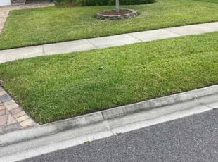 Hayley A.'s lawn service service result