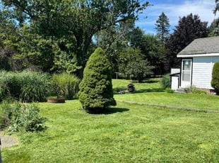 Leticia L.'s lawn service service result