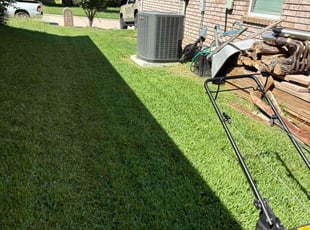 Jill O.'s lawn maintenance service result