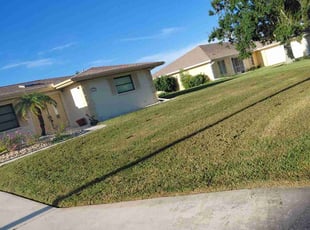 Dale S.'s turf maintenance service result