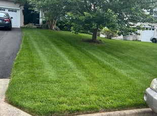 Yolanda B.'s lawn maintenance service result