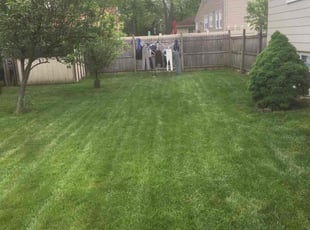 Gerry G.'s turf maintenance service result