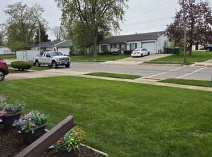 Erika S.'s grass maintenance service result