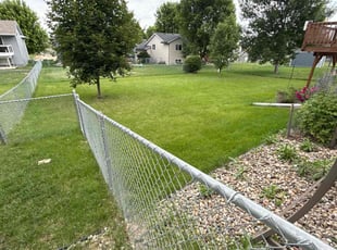 Lauren M.'s grass maintenance service result