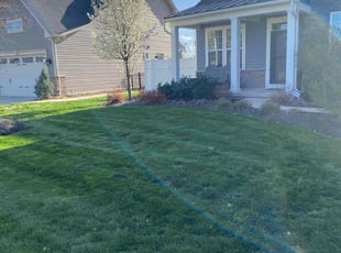 Jonnah O.'s grass maintenance service result