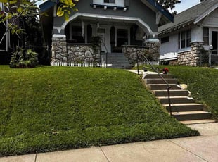 Darryl G.'s lawn care services service result