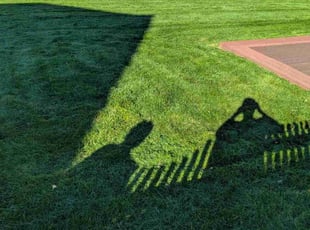 Priscilla S.'s lawn maintenance service result