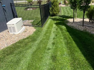 Stacey A.'s grass cutting service result