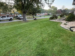 Tara T.'s grass cutting service result