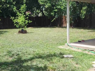 Patrick R.'s lawn care services service result