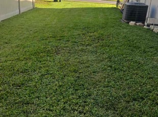 Gerri H.'s turf care service result