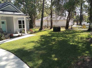 Mario C.'s lawn care service result