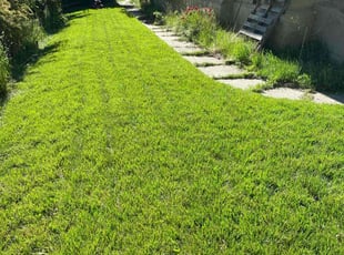 Rita D.'s lawn maintenance service result