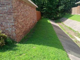 Joshua D.'s lawn care services service result