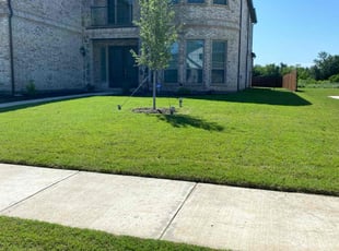 John B.'s lawn care service result