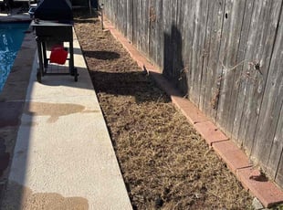 Mario G.'s Flower Bed Weeding service result