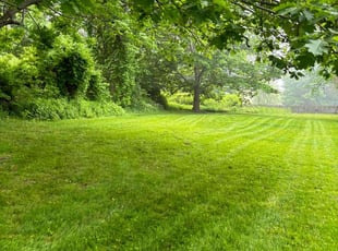 Ruth S.'s lawn care service result