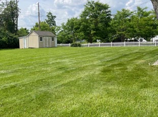 Nicole D.'s lawn maintenance service result
