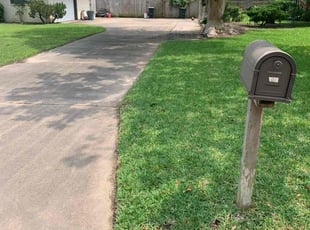 Deborah D.'s turf care service result