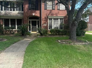 Michael B.'s turf maintenance service result