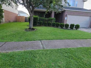 Carlenea K.'s yard service service result