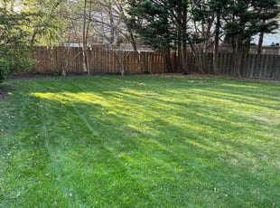 Wynter J.'s lawn service service result