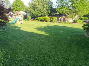 June C.'s lawn service service result