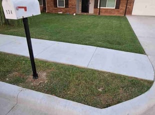 Carlton B.'s lawn maintenance service result