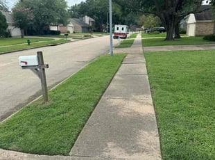 Angela M.'s grass cutting service result