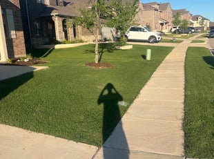 Elaine B.'s turf care service result