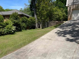 Anita C.'s lawn service service result