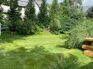 Oscar B.'s turf maintenance service result