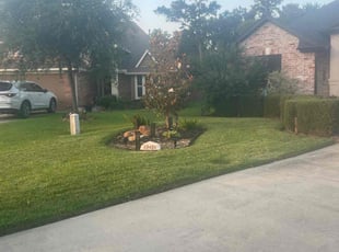 Marie S.'s lawn maintenance service result