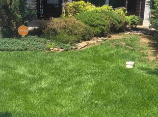 Nico O.'s lawn care services service result