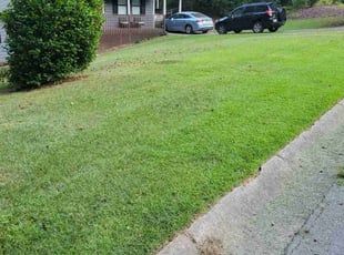 Ivy, B.'s grass maintenance service result