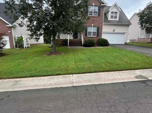 London P.'s lawn care service result