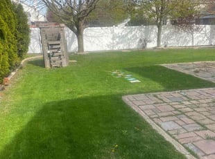 Matthew J.'s lawn care service result