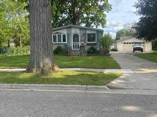 Dante P.'s lawn service service result