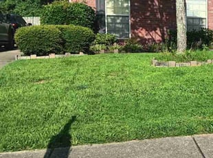 Debbie H.'s turf maintenance service result